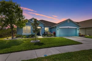 18542 NEW LONDON AVENUE, LAND O LAKES, FL 34638 Sold 04/30/24