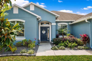 18542 NEW LONDON AVENUE, LAND O LAKES, FL 34638 Sold 04/30/24