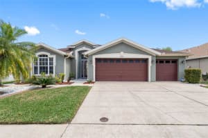 10555 SAN TRAVASO DRIVE, TAMPA, FL 33647 Sold 05/02/24
