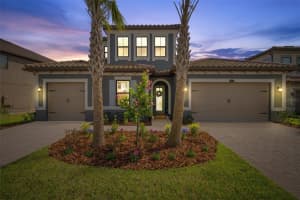 29657 PICANA LANE, WESLEY CHAPEL, FL 33543 Sold 06/21/24
