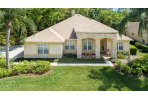 18615 CHEMILLE DRIVE, LUTZ, FL 33558 Sold 07/19/24