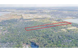 30651 ELAM ROAD, WESLEY CHAPEL, FL 33545 - MLS#MFRT3511354