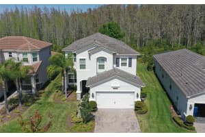 31030 LINDENTREE DRIVE, WESLEY CHAPEL, FL 33543 Sold 12/10/24