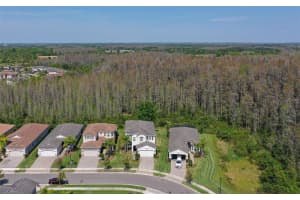 31030 LINDENTREE DRIVE, WESLEY CHAPEL, FL 33543 Sold 12/10/24