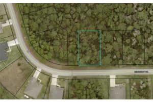 49 SECRETARY TRAIL, PALM COAST, FL 32164 Sold 05/16/25