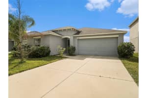 10325 BOGGY MOSS DRIVE, RIVERVIEW, FL 33578 Sold 04/19/24
