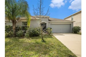 10325 BOGGY MOSS DRIVE, RIVERVIEW, FL 33578 Sold 04/19/24