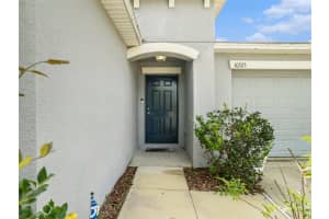 10325 BOGGY MOSS DRIVE, RIVERVIEW, FL 33578 Sold 04/19/24