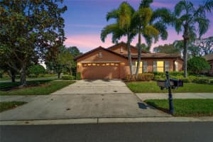 195 SHELL FALLS DRIVE, APOLLO BEACH, FL 33572 Sold 05/17/24