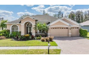21448 DRAYCOTT WAY, LAND O LAKES, FL 34637 Sold 05/16/24
