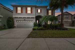 19303 WATER MAPLE DRIVE, TAMPA, FL 33647 Sold 07/26/24