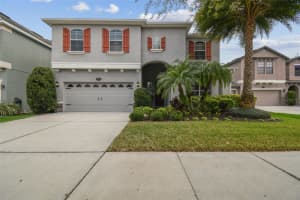 19303 WATER MAPLE DRIVE, TAMPA, FL 33647 Sold 07/26/24