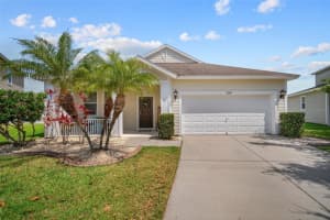 11524 BALINTORE DRIVE, RIVERVIEW, FL 33579 Sold 04/12/24