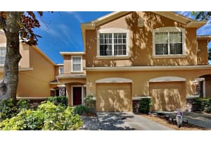 11809 CASTINE STREET, NEW PORT RICHEY, FL 34654 Sold 06/28/24
