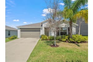 10517 STRAWBERRY TETRA DRIVE, RIVERVIEW, FL 33578 Sold 08/15/24
