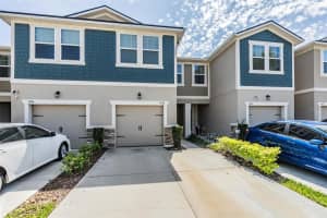 5948 GRAND SONATA AVENUE, LUTZ, FL 33558 Sold 06/03/24