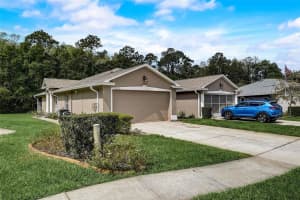 11619 FOXWORTH LANE, NEW PORT RICHEY, FL 34654 Sold 09/06/24