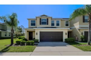 20205 TORCH LILLY WAY, TAMPA, FL 33647 Sold 04/24/24