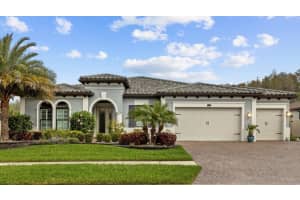28500 PICANA LANE, WESLEY CHAPEL, FL 33543 Sold 05/10/24