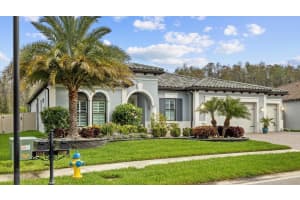 28500 PICANA LANE, WESLEY CHAPEL, FL 33543 Sold 05/10/24