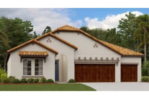 17420 HOLLY WELL AVENUE, WIMAUMA, FL 33598 Sold 09/09/24