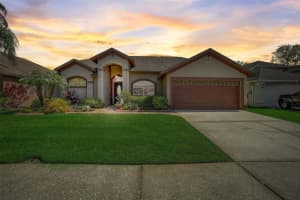 13403 IRONTON DRIVE, TAMPA, FL 33626 Sold 04/25/24