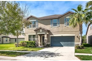 9208 EUROPEAN OLIVE WAY, RIVERVIEW, FL 33578 Sold 06/14/24