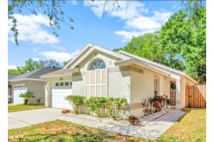 6623 SUMMER HAVEN DRIVE, RIVERVIEW, FL 33578 Sold 04/05/24