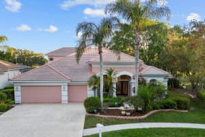 4884 SILVERTHORNE COURT, OLDSMAR, FL 34677 Sold 12/23/24