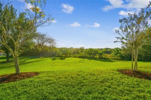 8543 EAGLE BROOK DRIVE, LAND O LAKES, FL 34638 Sold 05/23/24