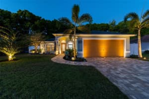 24429 PAINTER DRIVE, LAND O LAKES, FL 34639 Sold 05/10/24
