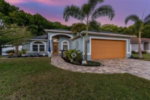 24429 PAINTER DRIVE, LAND O LAKES, FL 34639 Sold 05/10/24