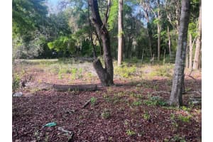 0 SW 108TH PL, DUNNELLON, FL 34432 Sold 11/14/24