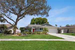 5367 BLACK PINE DRIVE, TAMPA, FL 33624 Sold 06/01/24
