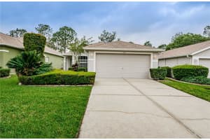 3231 BANYAN HILL LANE, LAND O LAKES, FL 34639 Sold 05/08/24