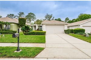 3231 BANYAN HILL LANE, LAND O LAKES, FL 34639 Sold 05/08/24