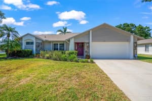 3232 OAKWOOD PLACE, TARPON SPRINGS, FL 34688 Sold 07/10/24
