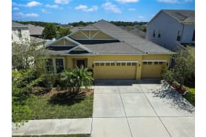 20145 OAKFLOWER AVENUE, TAMPA, FL 33647 Sold 07/10/24