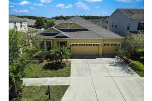 20145 OAKFLOWER AVENUE, TAMPA, FL 33647 Sold 07/10/24