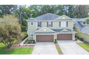 8535 SANDPIPER RIDGE AVENUE, TAMPA, FL 33647 Sold 07/12/24