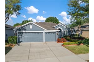 12369 SILTON PEACE DRIVE, RIVERVIEW, FL 33579 Sold 05/24/24