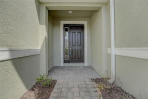 3305 PAINTED BLOSSOM COURT, LUTZ, FL 33548 Sold 06/14/24