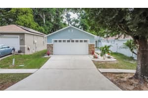 11721 MANGO GROVES BOULEVARD, SEFFNER, FL 33584 Sold 06/28/24