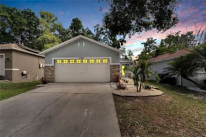 11721 MANGO GROVES BOULEVARD, SEFFNER, FL 33584 Sold 06/28/24