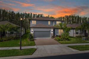 21038 MONZA LOOP, LAND O LAKES, FL 34638 Sold 06/25/24