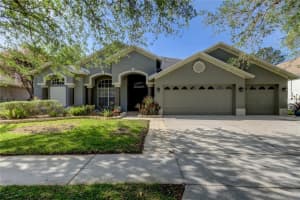 19410 FRENCH LACE DRIVE, LUTZ, FL 33558 Sold 04/26/24
