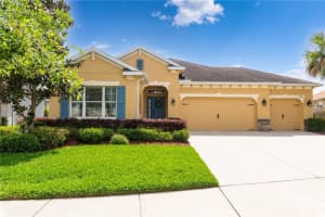 17541 BUCKINGHAM GARDEN DRIVE, LITHIA, FL 33547 Sold 04/25/24