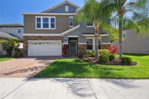 19414 PADDOCK VIEW DRIVE, TAMPA, FL 33647 Sold 06/12/24