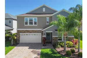19414 PADDOCK VIEW DRIVE, TAMPA, FL 33647 Sold 06/12/24