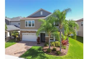 19414 PADDOCK VIEW DRIVE, TAMPA, FL 33647 Sold 06/12/24